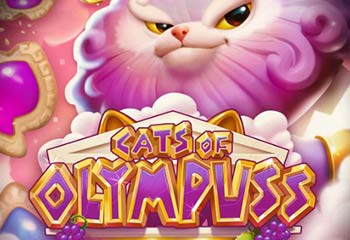 Cats of Olympuss